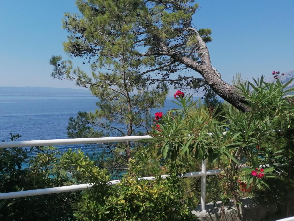 Apartmani Mares - 20 M From The Beach Brela Luaran gambar