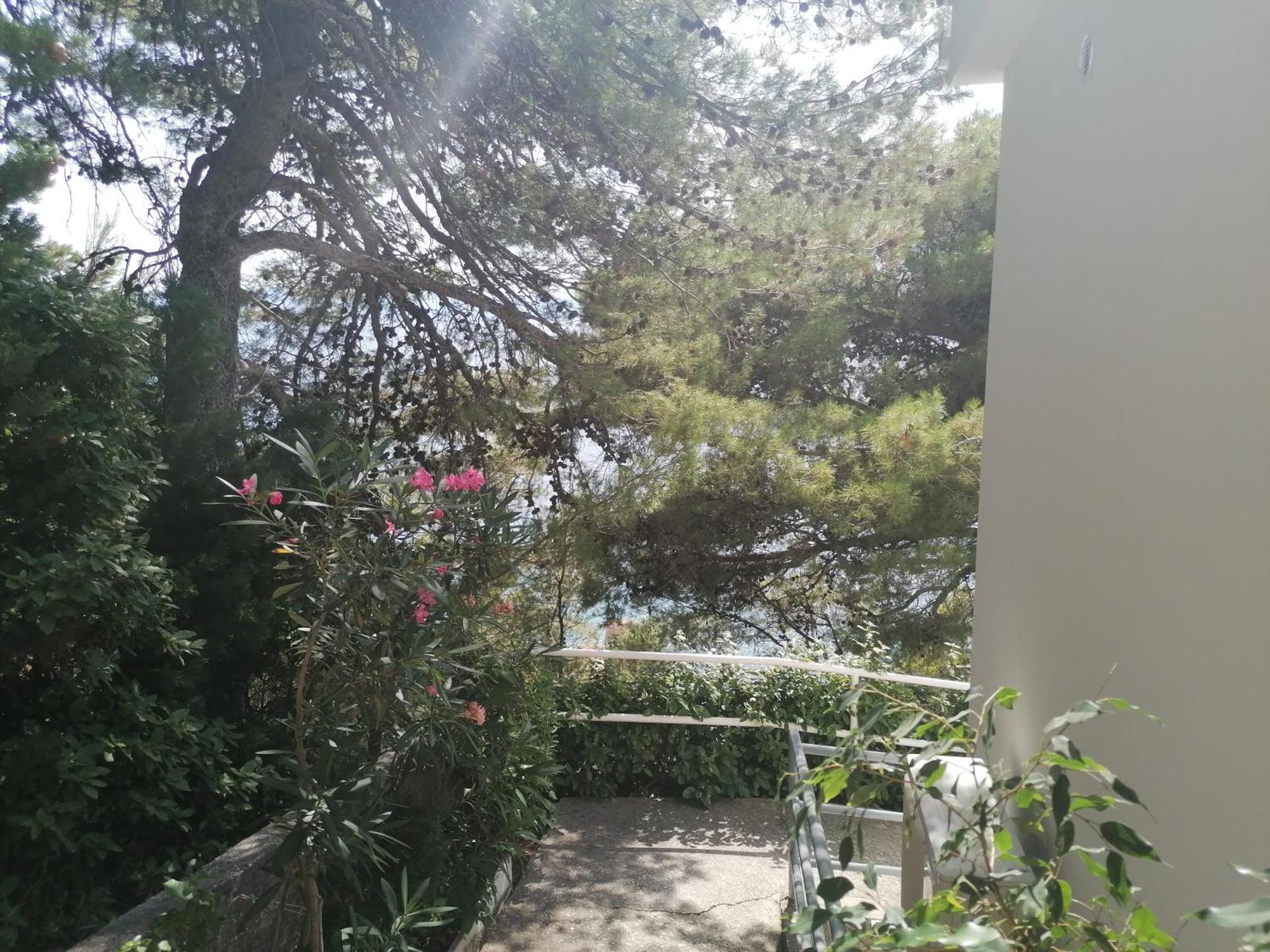 Apartmani Mares - 20 M From The Beach Brela Luaran gambar